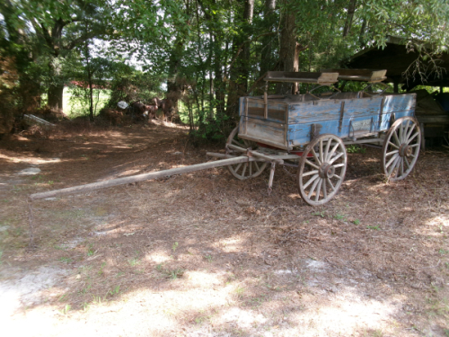 KODAK Digital Still Camera