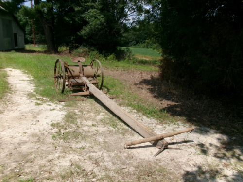 KODAK Digital Still Camera