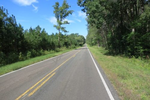 IMG 0051