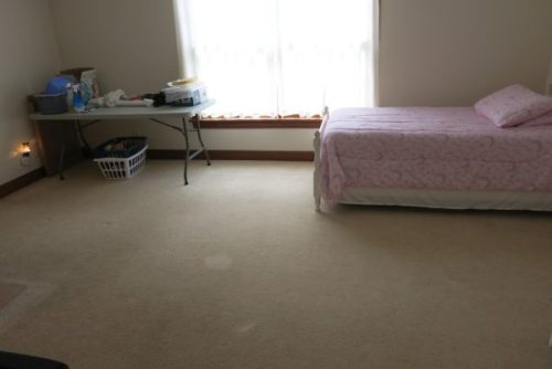 IMG 1579