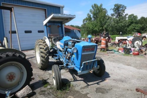 IMG 7974