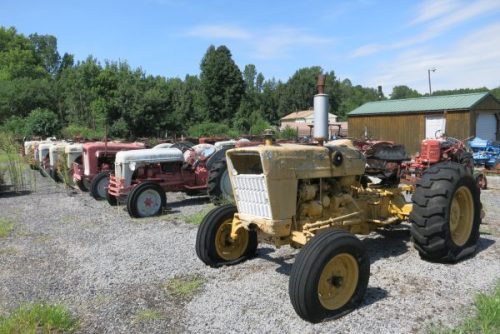 IMG 7978 (1)