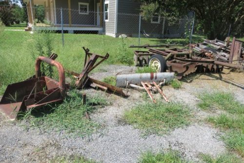 IMG 7999 (1)